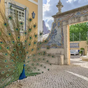 https://solar-do-castelo-lisbon.hotels-lisbon-portugal.com